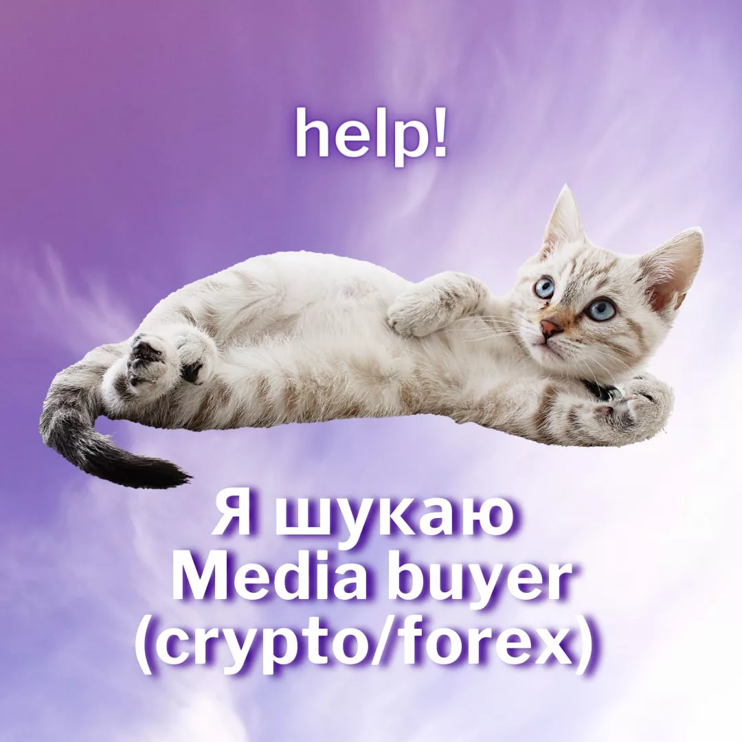 Media Buyers Native (CRYPTO/FOREX)